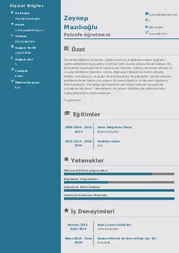 Felsefe Öğretmeni CV Örnekleri cv indir